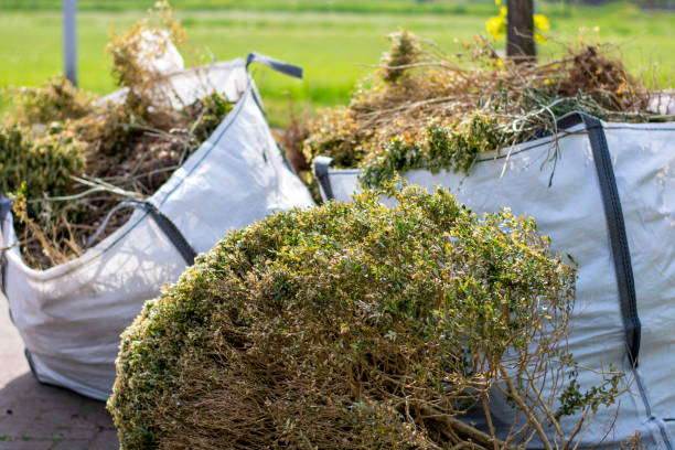 Best Property Management Cleanouts  in Bayshore Gardens, FL